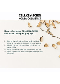 Combo Kem Nền Kem Chống Nắng Che Khuyết Điểm Kiềm Dầu Dưỡng Trắng Chống Nhăn Cho Da Nhạy Cảm Cellkey-Scien BB Sun Cream (80ml)