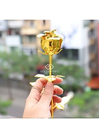 Bộ Sưu tập Hoa hồng mạ vàng 