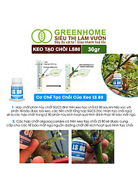 Keo Tạo Chồi LS80, Greenhome, Hũ 30gr, Tạo Mầm Tại Vị Trí Bất Kỳ, Có Chọn Lọc, Không Suy Cây, Đen Chồi