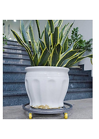 Đế lót chậu cây di động, bằng thép sơn tĩnh điện, đế có bánh xe dễ di chuyển
