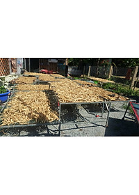 Đặc Sản Kon Tum - Sâm Dây Khô Ngọc Linh Kon Tum Tăng Cường Sức Khỏe  - OCOP 3 Sao