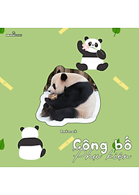 Sách Nhật Ký Hạnh Phúc Của Công Chúa Fubao - Tái Bản