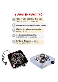 Bếp hơ lá trầu cho mẹ và bé sau sinh, bếp điện mini 1000W