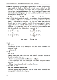 product-img-14