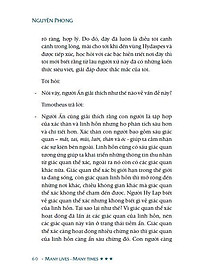 Muôn Kiếp Nhân Sinh - Many Times, Many Lives - Tập 3