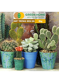 Đất Trồng Sen Đá Greenhome, Soil Mix, Bao 6kg, Trộn Sẵn, 85% Đá Khoáng, Phát Rễ Nhanh, Lên Màu Nhanh, Thoát Nước Tốt