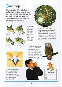 Sách Bách Khoa Động Vật Cho Trẻ Em