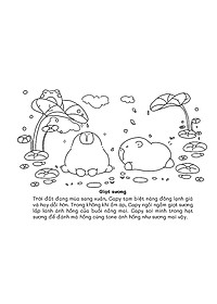 product-img-8