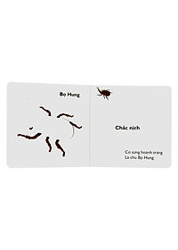 Sách Cùng Chơi Trốn Tìm - Tập 10: Côn Trùng