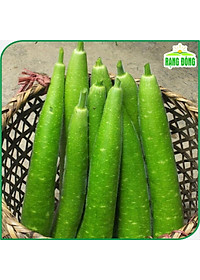 Hạt Giống Bầu Sao Lai F1 Trái Dài, Siêu Đậu Trái, Dễ Trồng - Hạt giống Rạng Đông