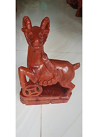 product-img-6