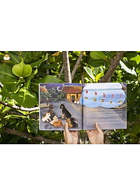 Trường Sa! Biển ấy là của mình