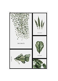 product-img-3