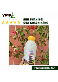 product-img-9