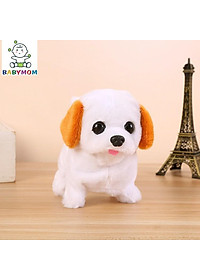 product-img-5