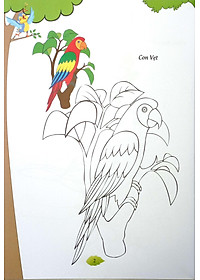 product-img-4