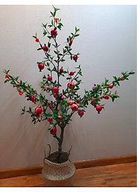product-img-2