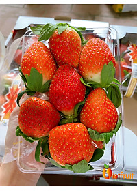 product-img-0
