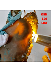 Đèn soi, rọi tiền, đá ,  cua gạch với ánh sáng mạnh, 3 màu tiện dụng kèm theo bộ sạc