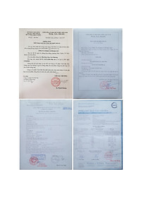 Hộp 10 đôi Đũa gỗ Kim Giao (Dài 27cm) 100% tự nhiên - Món quà quý đến từ rừng Cúc Phương Ninh Bình