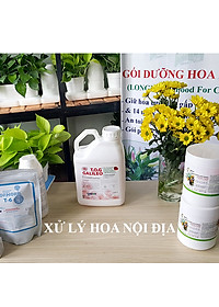 Dung Dịch Xử Lý Hoa TOG Galileo của ISRAEL (Chai 1 Lít) dùng bảo quản hoa cắt cành tươi lâu tại Nhà Vườn Trồng Hoa, Vựa Hoa và Chợ Sỉ Hoa. Tỷ lệ dung dịch 0.1% tức chai 1 Lít TOG pha được 1.000 Lít dung dịch xử lý hoa