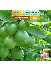 product-img-8