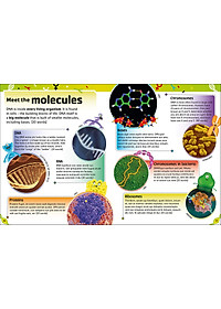 The Dna Book: Discover What Makes You You