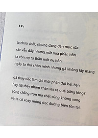 Sách - Đám Trẻ Ở Đại Dương Đen (Tái Bản 2026)