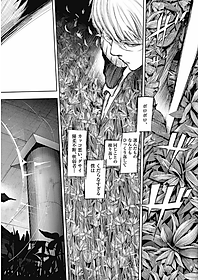 Tokyo Ghoul: re 8 (Japanese Edition)