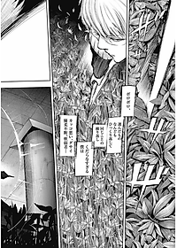 Tokyo Ghoul: re 8 (Japanese Edition)