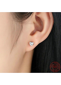  Bông tai - Khuyên tai - Hoa Tai Nữ Bạc Hiểu Minh HT179