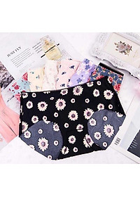 Set 5 Quần Lót Đúc Su Điều Hòa Thông Thoáng HM11