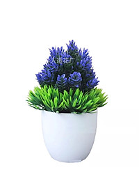 product-img-10