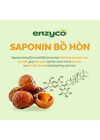 Nước lau đa năng sinh học ENZYCO 475ml - Chiết xuất Bồ hòn và Enzyme Dứa