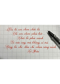 Bút Máy Leta 368 , Bút Luyện Chữ Đẹp Ngòi Lá Tre Nét Thanh Đậm Viết Calligraphy