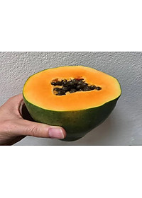 product-img-5