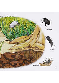 Sách Chú Mèo Kẹo Bi Phiêu lưu Trong Xứ Sở Côn Trùng (Tập 2): Trong Lòng Đất