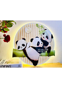product-img-5