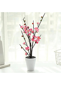 product-img-6