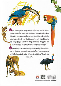 Thiên Nhiên- Những Bí Mật Còn Ẩn Giấu - Động Vật Quý Hiếm (Tái Bản 2019)- 2HBooks