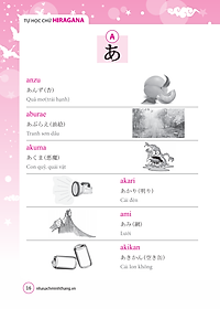 product-img-5