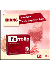 Sắt Bột Buccal Tan Ngay Trong Miệng Ferrolip Hộp 20 gói giành cho người thiếu máu đặc biệt các mẹ sau sinh