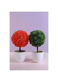product-img-20