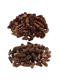 product-img-11