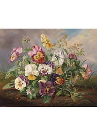 product-img-1