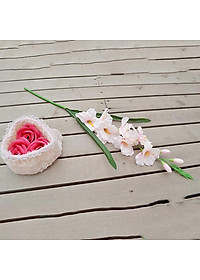 product-img-7