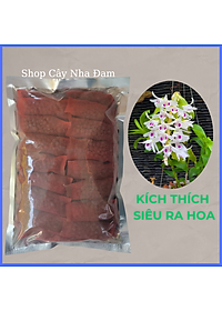 Phân Bón Kích Thích Ra Hoa Cho Lan, Cây Cảnh, Dưỡng Cây, Phân Tan Chậm