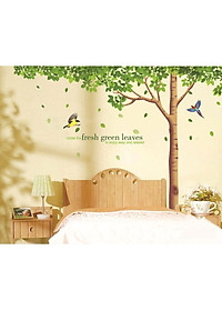 Decal Dán Tường Big Tree 1098 (Size Lớn) 
