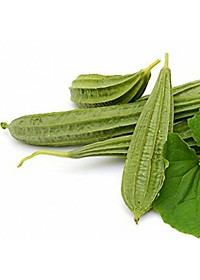 Hạt Giống Mướp Khía Sai Trái, Chịu Nhiệt 10 Hạt