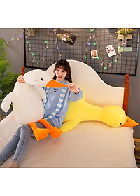 product-img-12